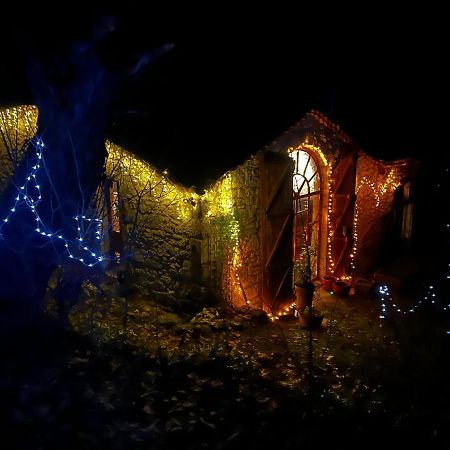 Gite Loustalneve Bourg-de-Visa Exteriér fotografie